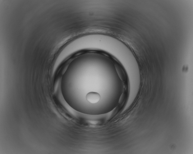 X0000093140352200709261429