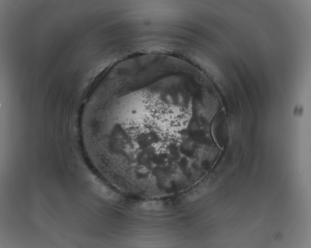 X0000093140353200709261429