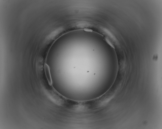 X0000093140356200709261429