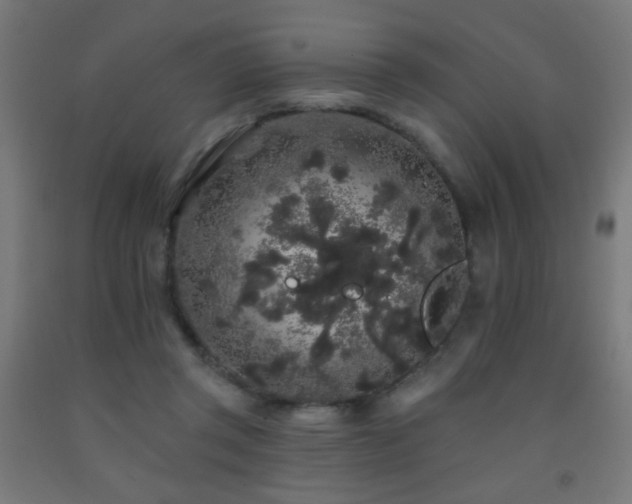 X0000093140357200709261429