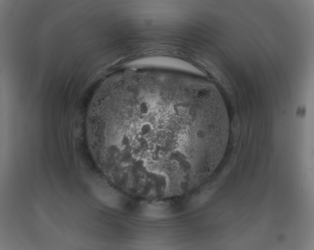 X0000093140359200709261429