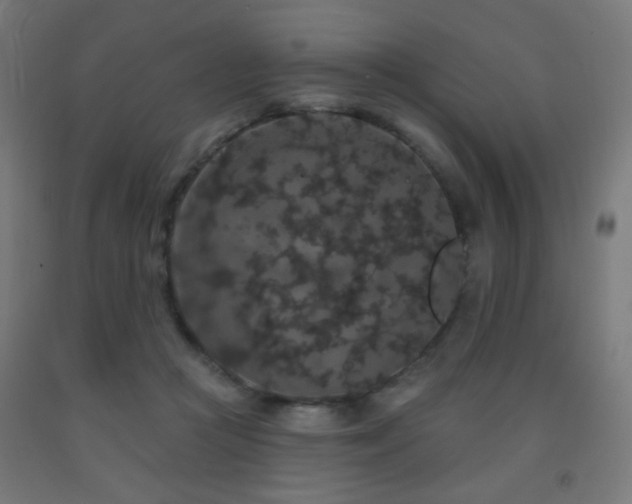 X0000093140361200709261429