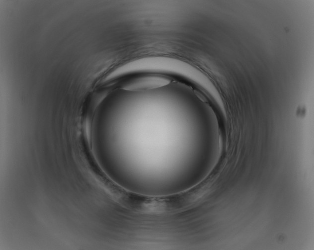 X0000093140362200709261429