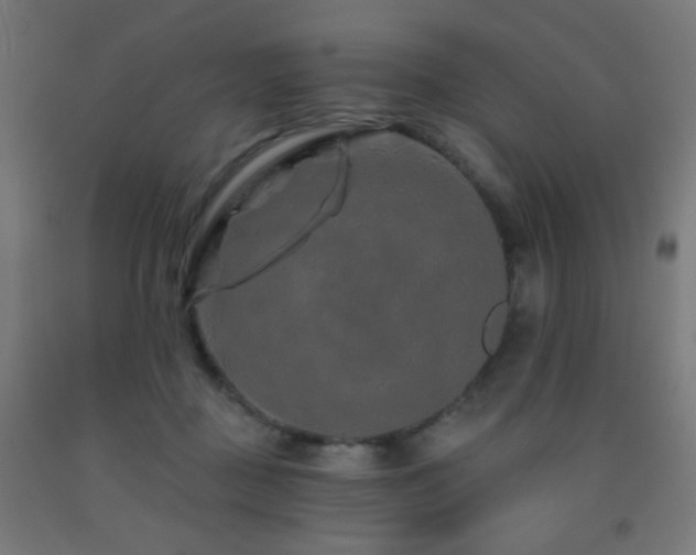 X0000093140363200709261429