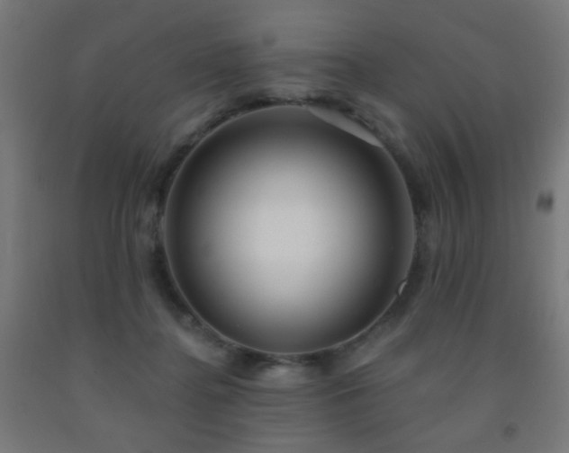 X0000093140364200709261429
