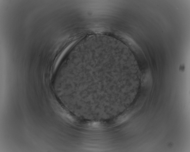 X0000093140365200709261429