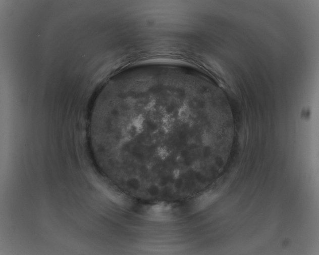 X0000093140366200709261429