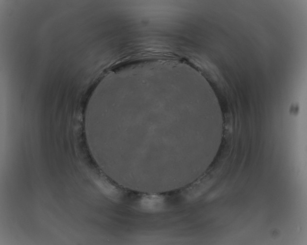 X0000093140369200709261429