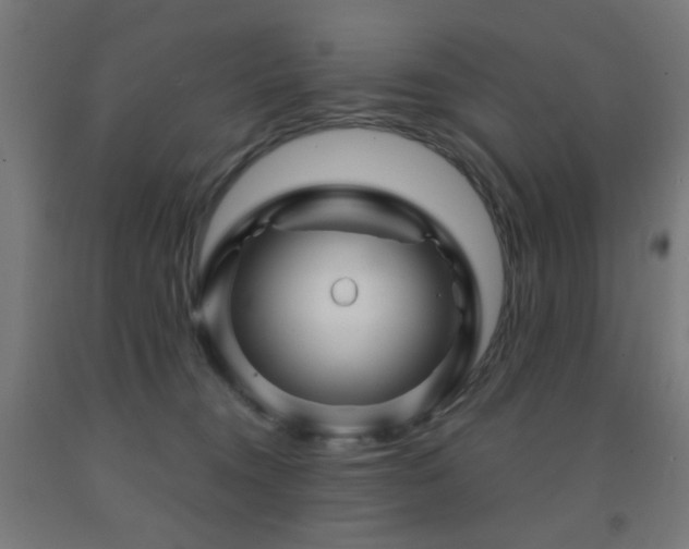 X0000093140372200709261429