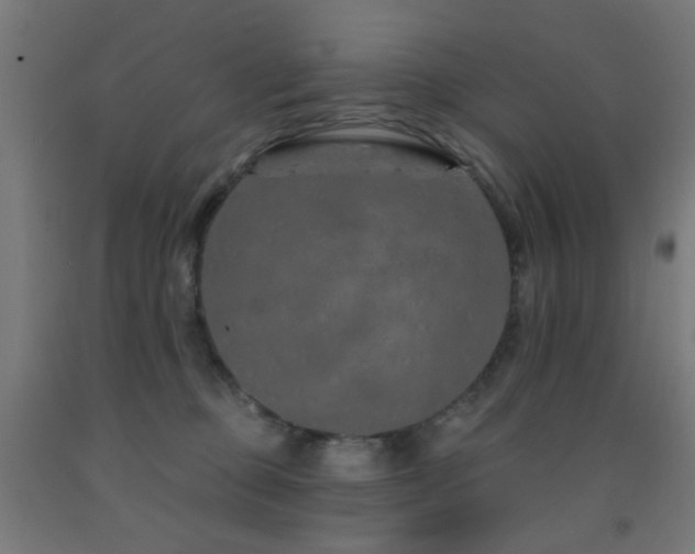 X0000093140373200709261429