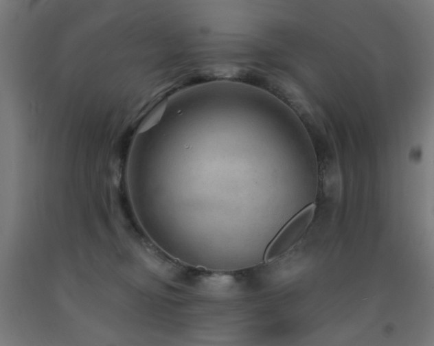 X0000093140374200709261429