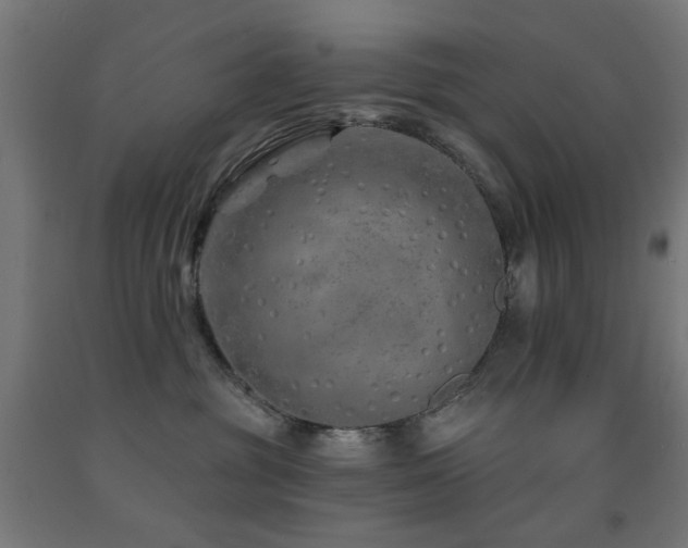X0000093140381200709261429
