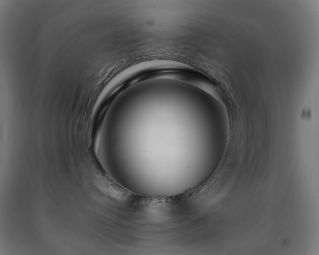 X0000093140384200709261429