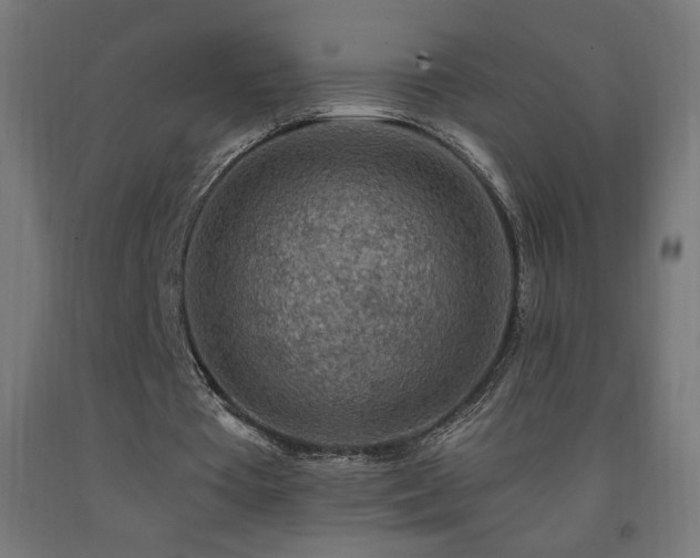 X0000093140385200709261429