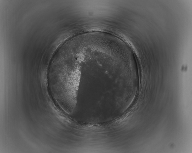 X0000093140386200709261429