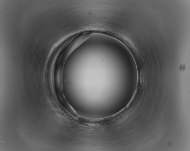 X0000093140388200709261429