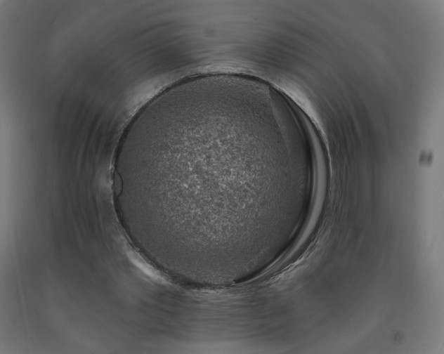 X0000093140389200709261429