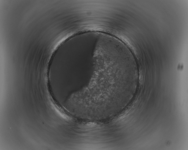 X0000093140390200709261429