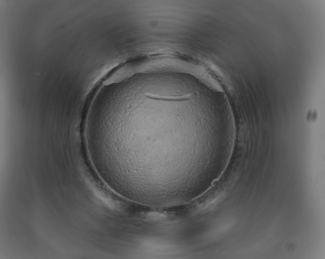 X0000093140394200709261428