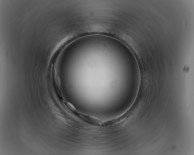 X0000093140395200709261428