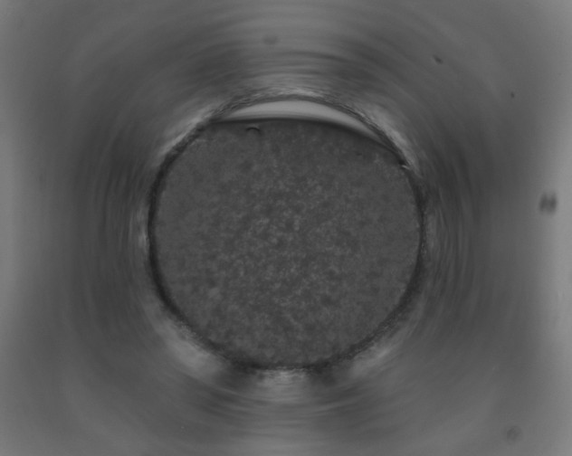 X0000093140398200709261428
