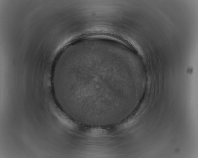 X0000093140399200709261428