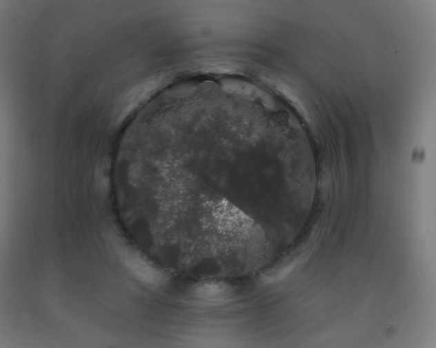 X0000093140402200709261428