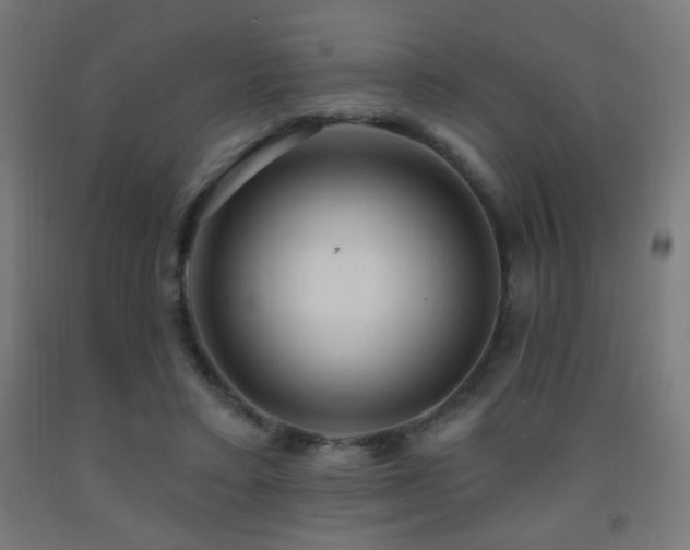 X0000093140403200709261428