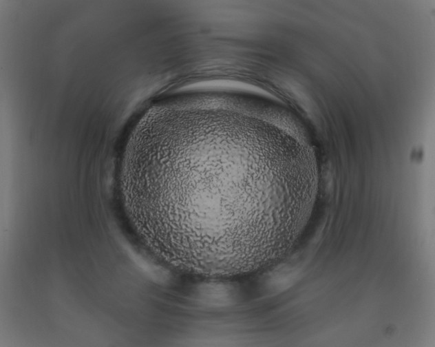 X0000093140404200709261428
