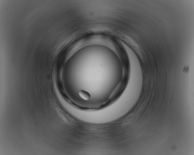 X0000093140405200709261428