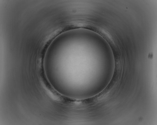 X0000093140406200709261428