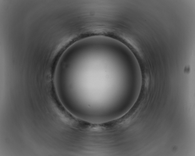 X0000093140407200709261428