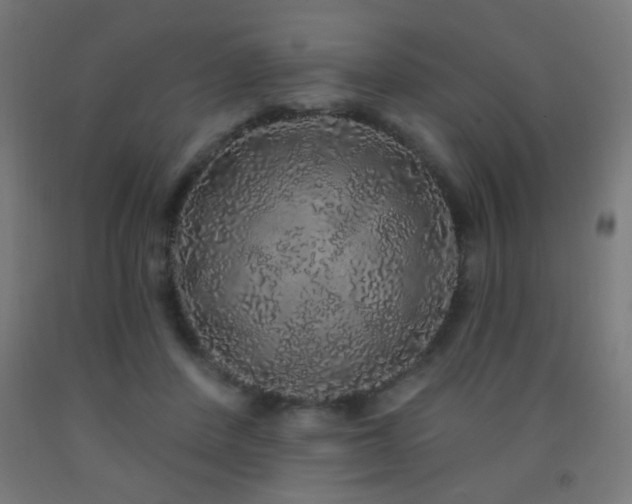 X0000093140408200709261428