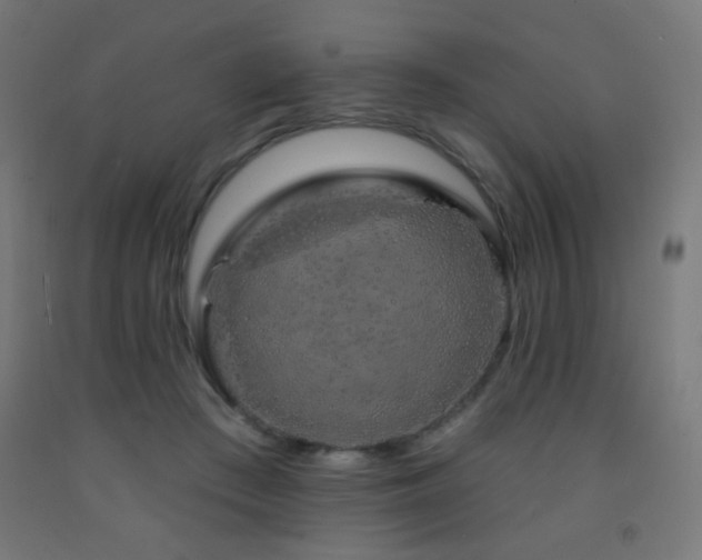 X0000093140409200709261428