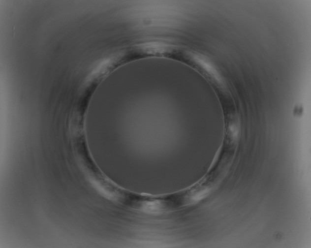 X0000093140411200709261428