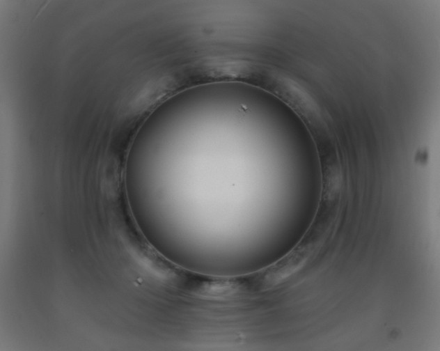 X0000093140414200709261428