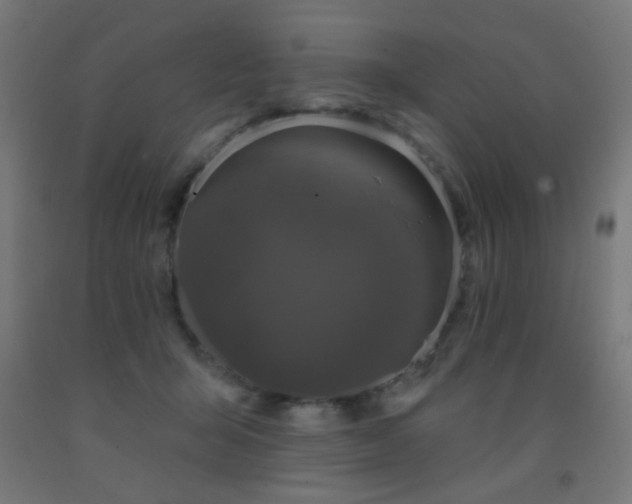 X0000093140415200709261428