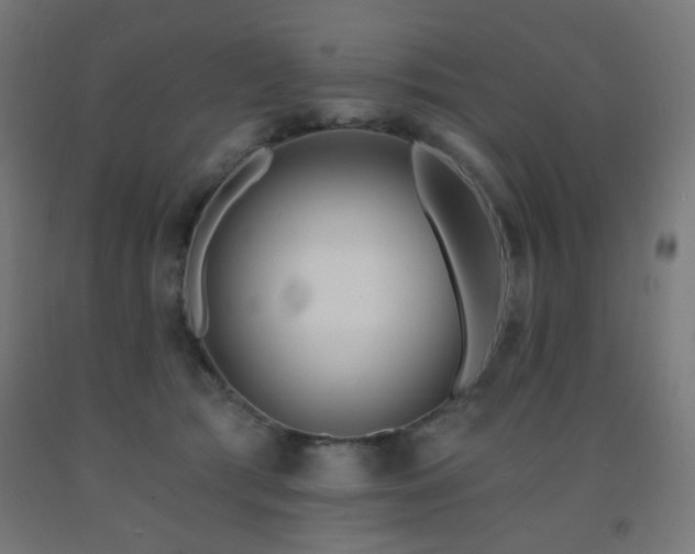 X0000093140417200709261428