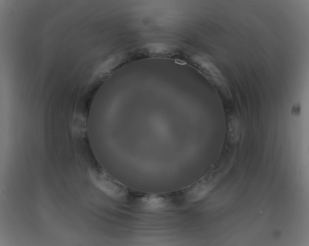 X0000093140419200709261428