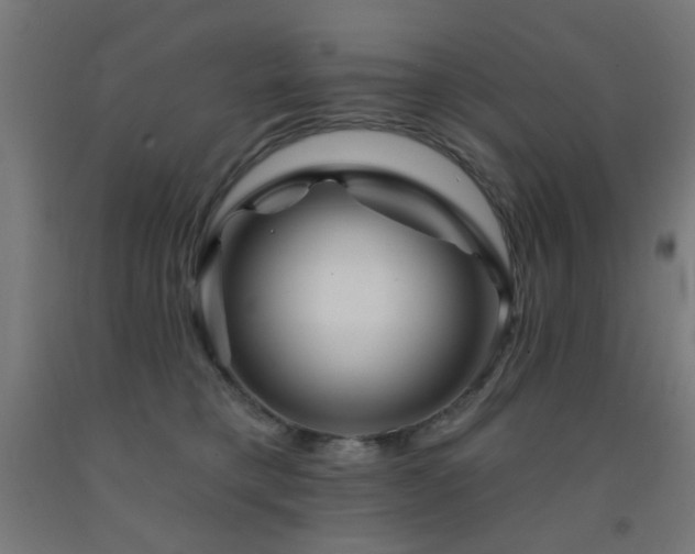 X0000093140421200709261428