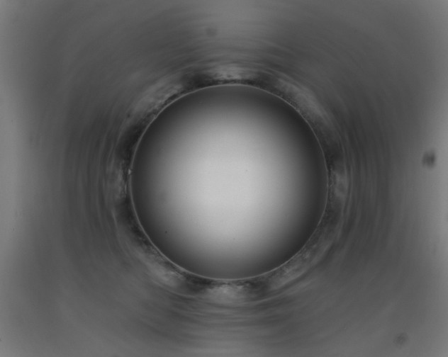 X0000093140422200709261428