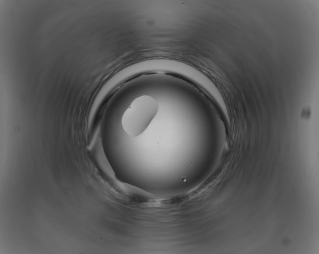 X0000093140425200709261428