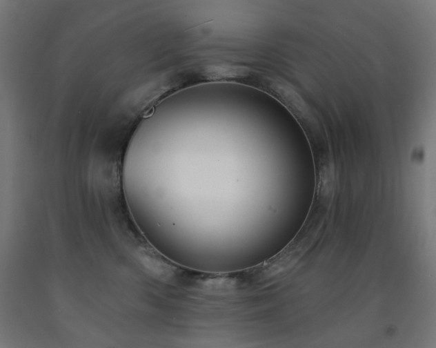 X0000093140426200709261428