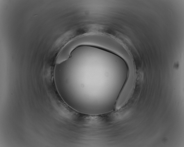 X0000093140428200709261428