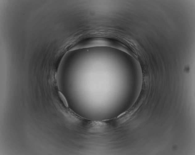 X0000093140429200709261428