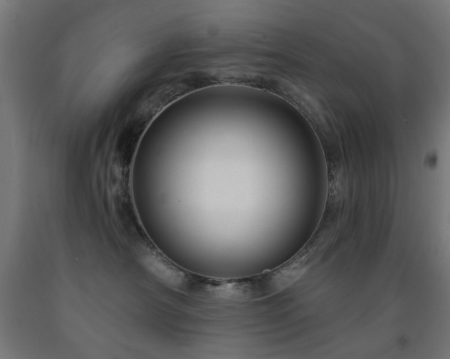 X0000093140430200709261428