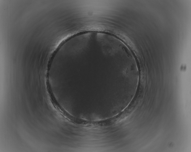 X0000093140434200709261427