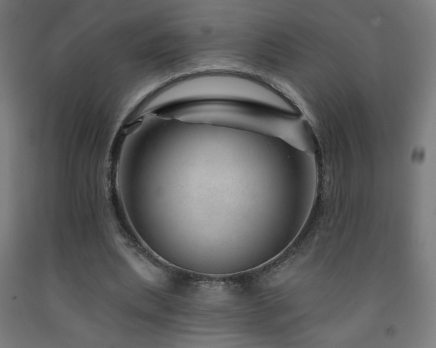X0000093140439200709261427