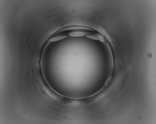 X0000093140441200709261427