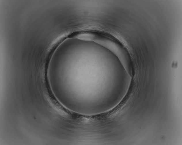 X0000093140442200709261427